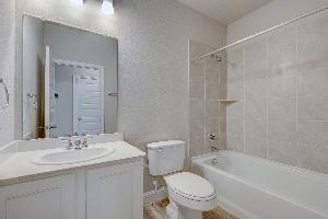 Redwood II Representative Photography