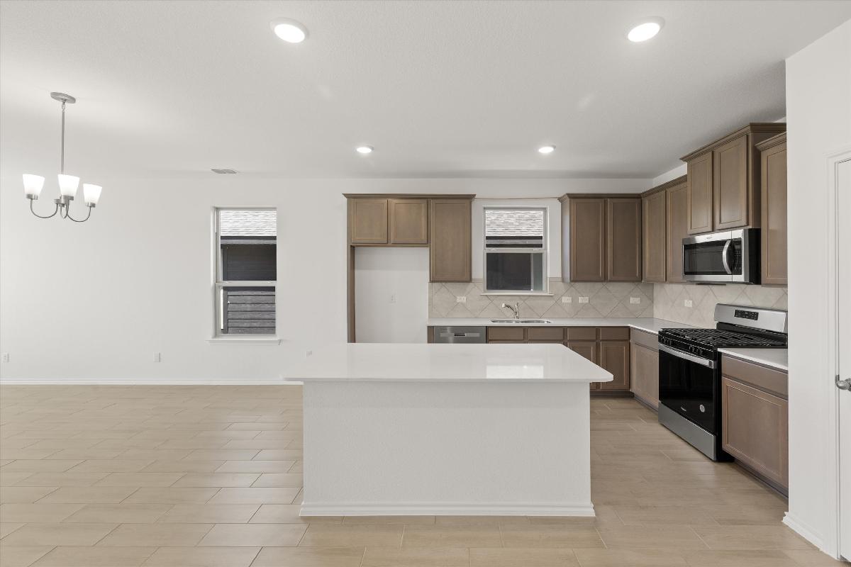 Orchid Representative Photography