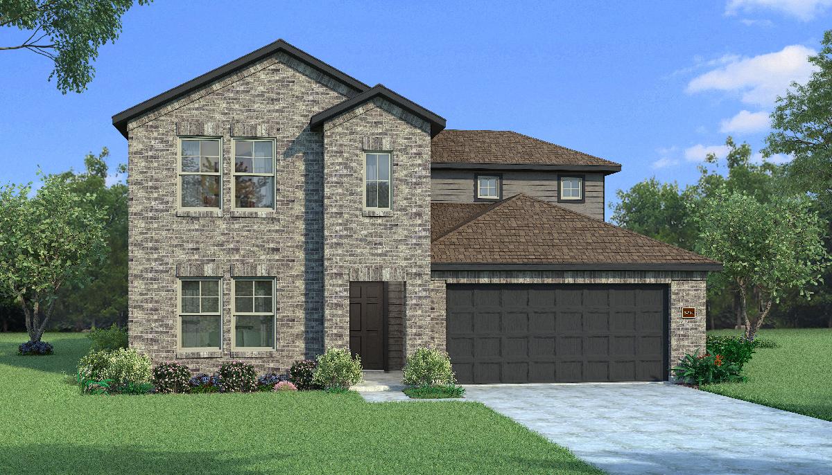 Orchid with Elevation J