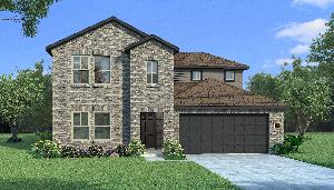 Orchid with Elevation J