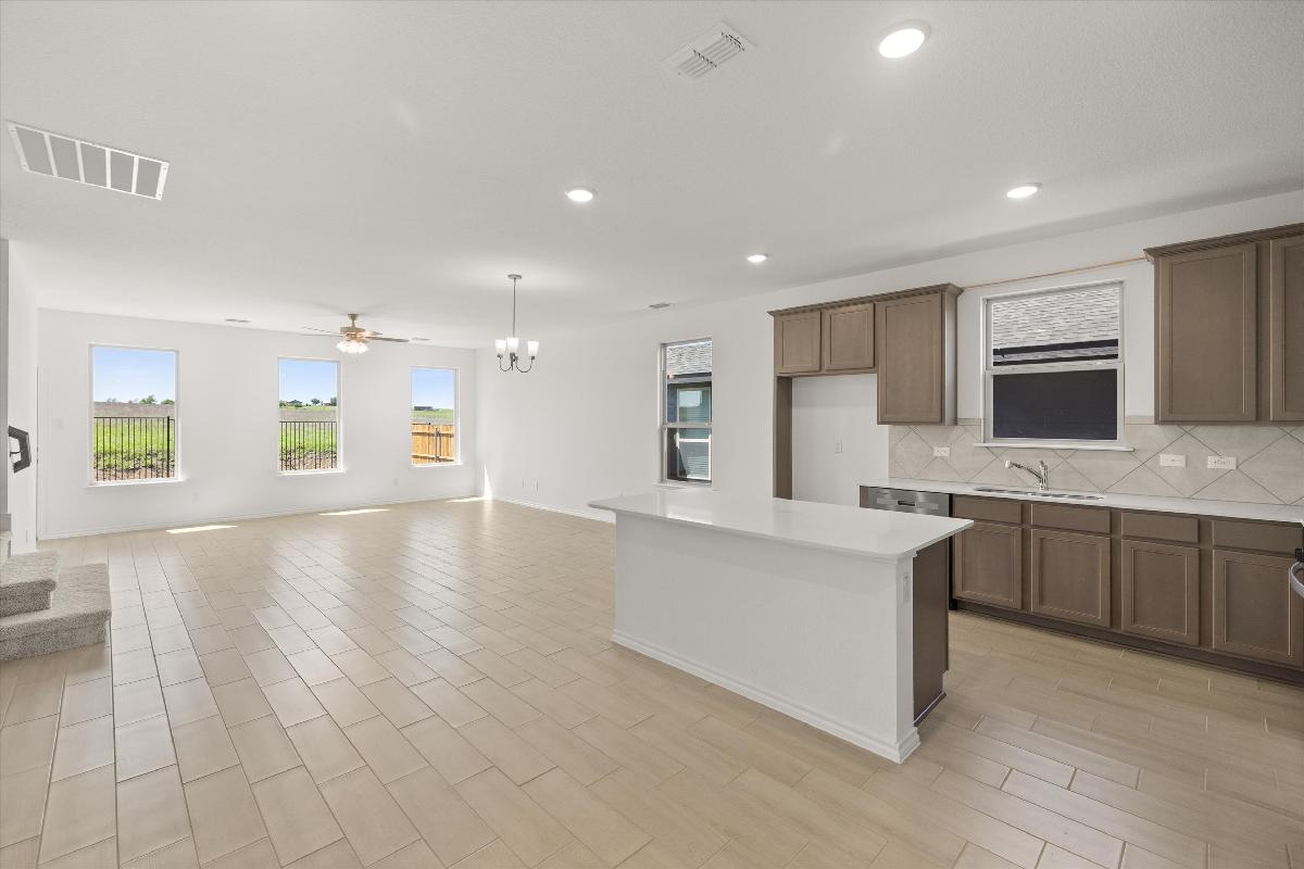 Orchid Representative Photography