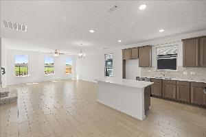 Orchid Representative Photography