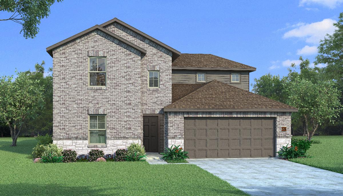 Orchid with Elevation HS