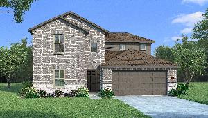 Orchid with Elevation HS