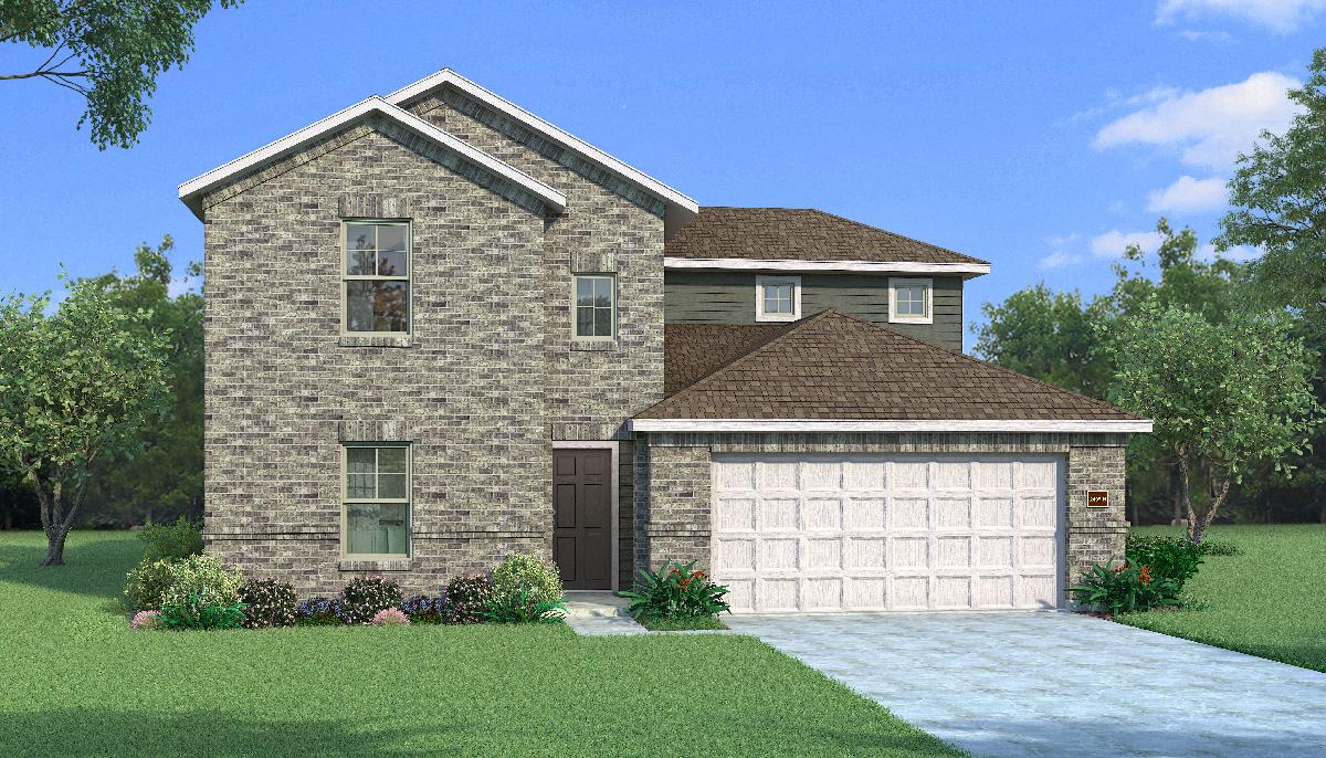 Orchid with Elevation H