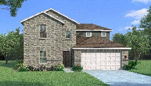 Orchid with Elevation H