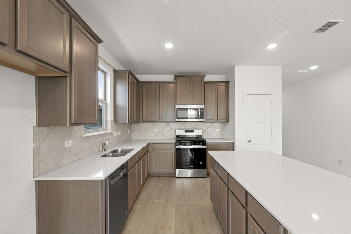 Orchid Representative Photography