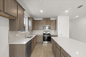 Orchid Representative Photography