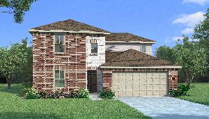 Orchid with Elevation GS