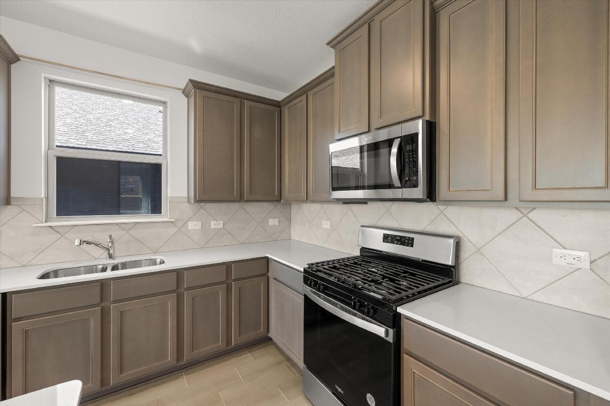 Orchid Representative Photography