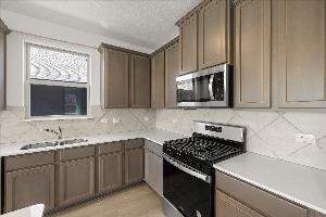 Orchid Representative Photography