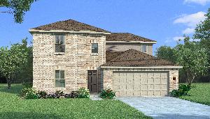 Orchid with Elevation G