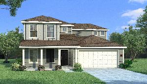 Orchid with Elevation Q