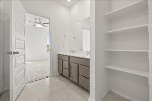 Orchid Representative Photography