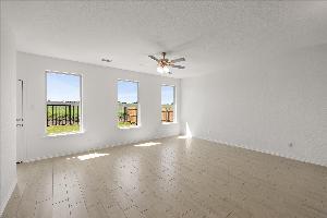 Orchid Representative Photography