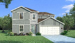 Orchid with Elevation P