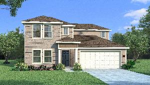 Orchid with Elevation N