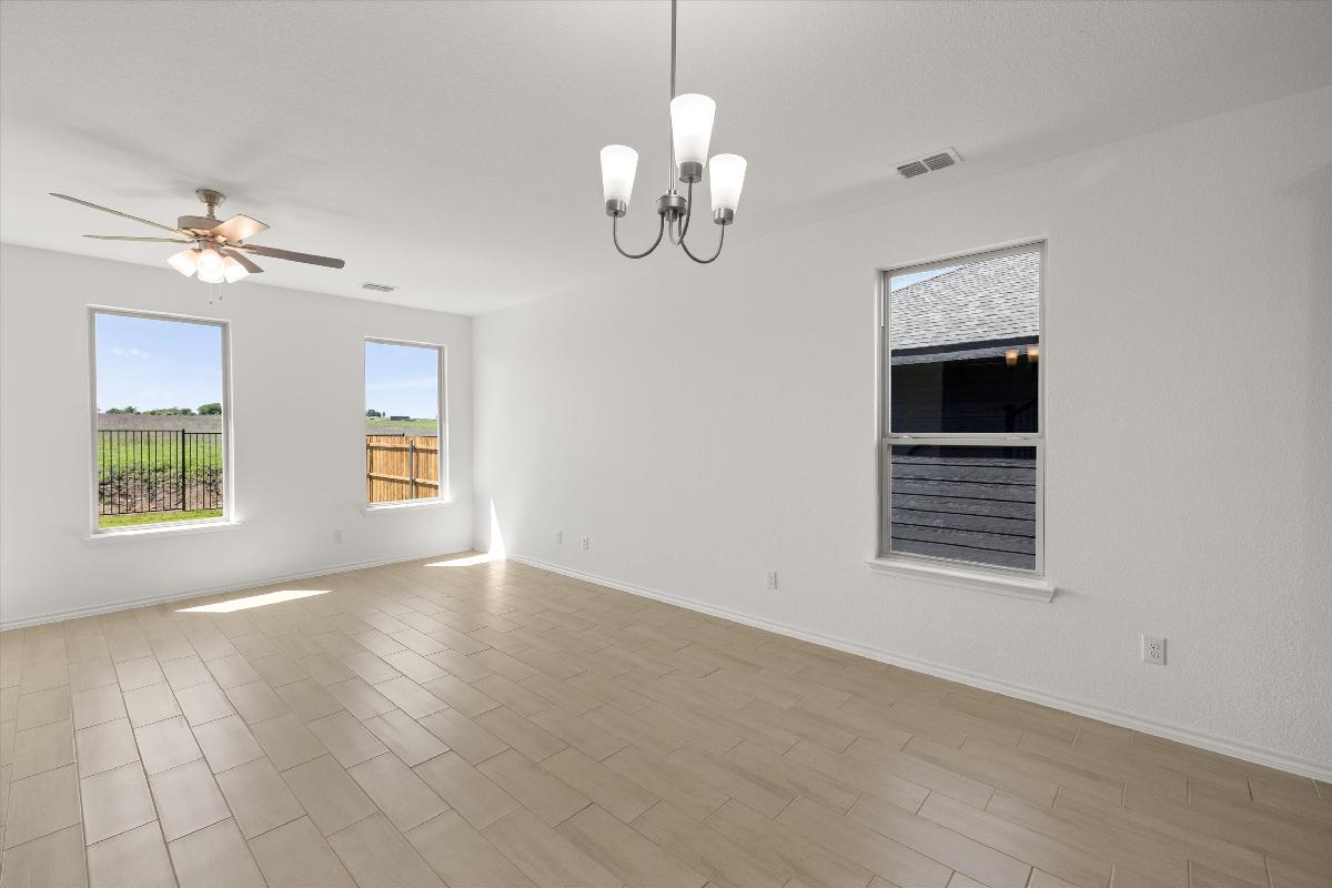 Orchid Representative Photography