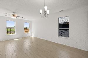 Orchid Representative Photography