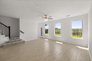 Orchid Representative Photography