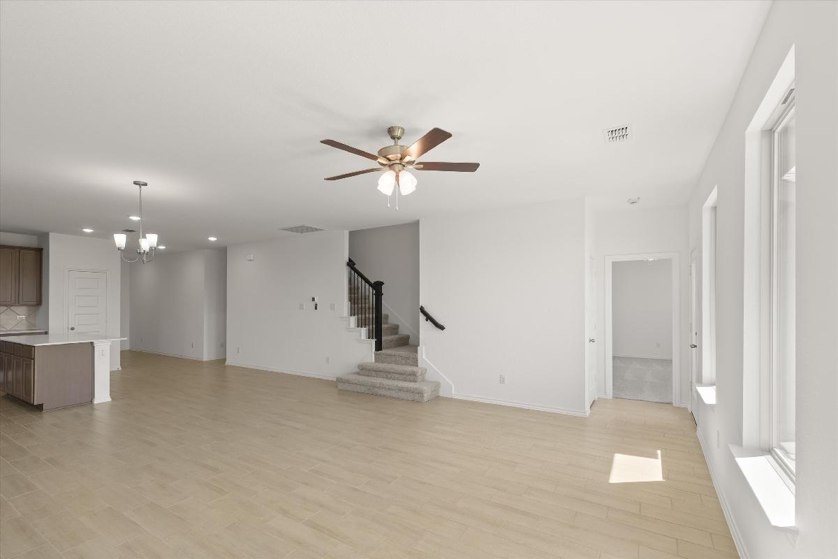 Orchid Representative Photography