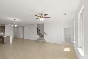 Orchid Representative Photography