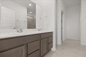 Orchid Representative Photography