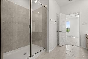 Orchid Representative Photography