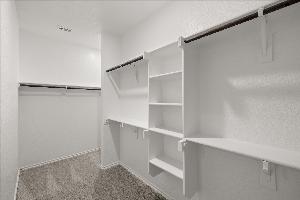 Orchid Representative Photography