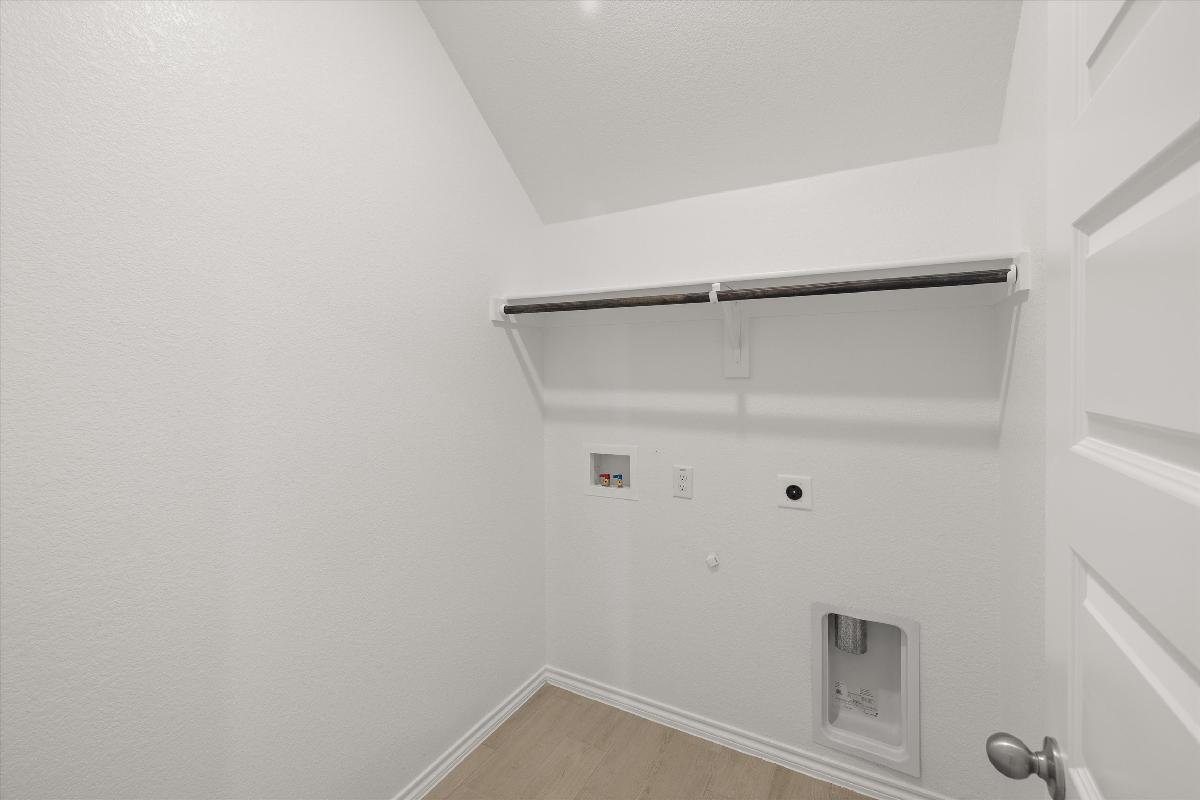 Orchid Representative Photography