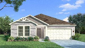 Elderberry with Elevation Q