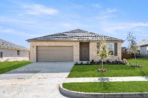 Chestnut with Elevation G