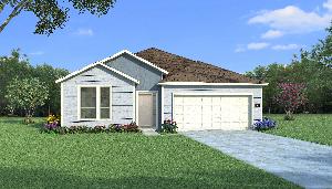 Chestnut with Elevation Q