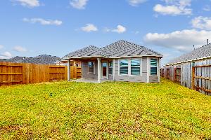 Backyard - Representational Photo