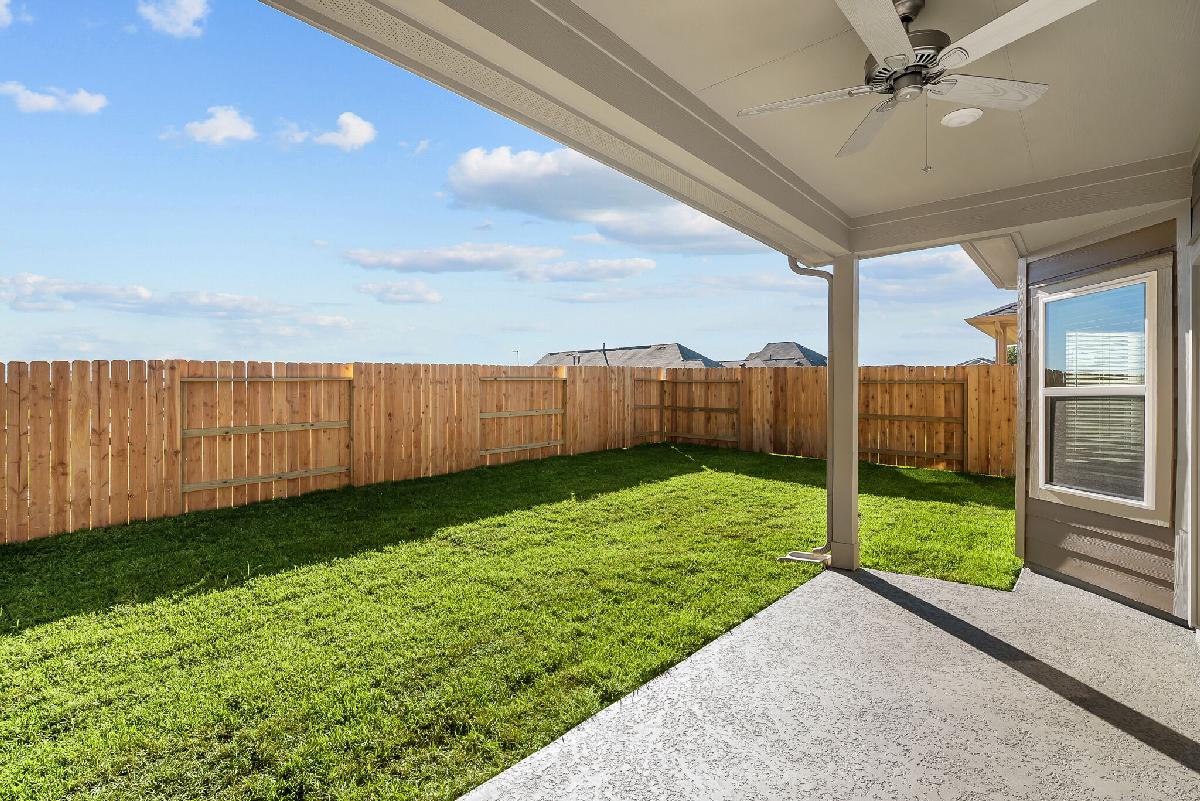 Backyard - Representational Photo