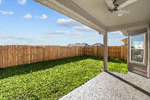 Backyard - Representational Photo