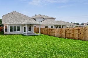 Backyard - Representational Photo