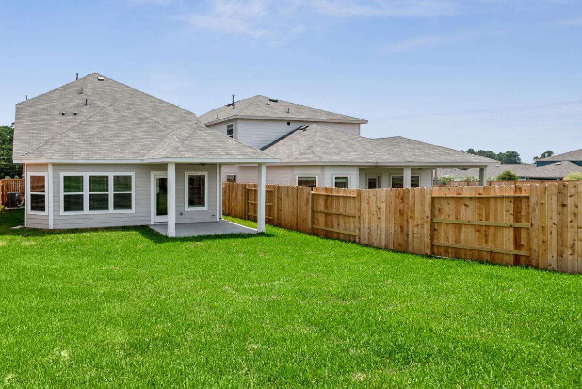 Backyard - Representational Photo