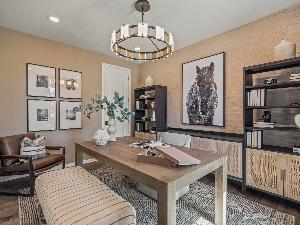 Study - Representational Photo