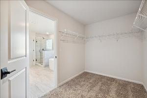 Owner's Closet - Representational Photo