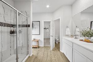 Owner's Bathroom