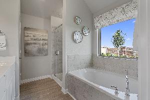 Owner's Bathroom - Representational Photo