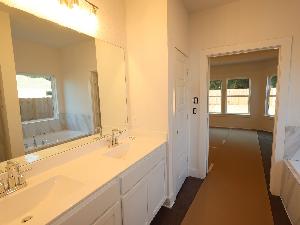 Owner's Bathroom