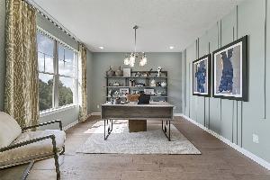 Study - Representational Photo