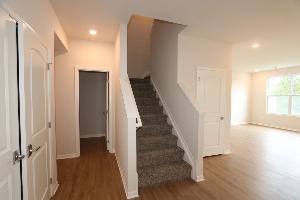 1502 Salt Springs Drive