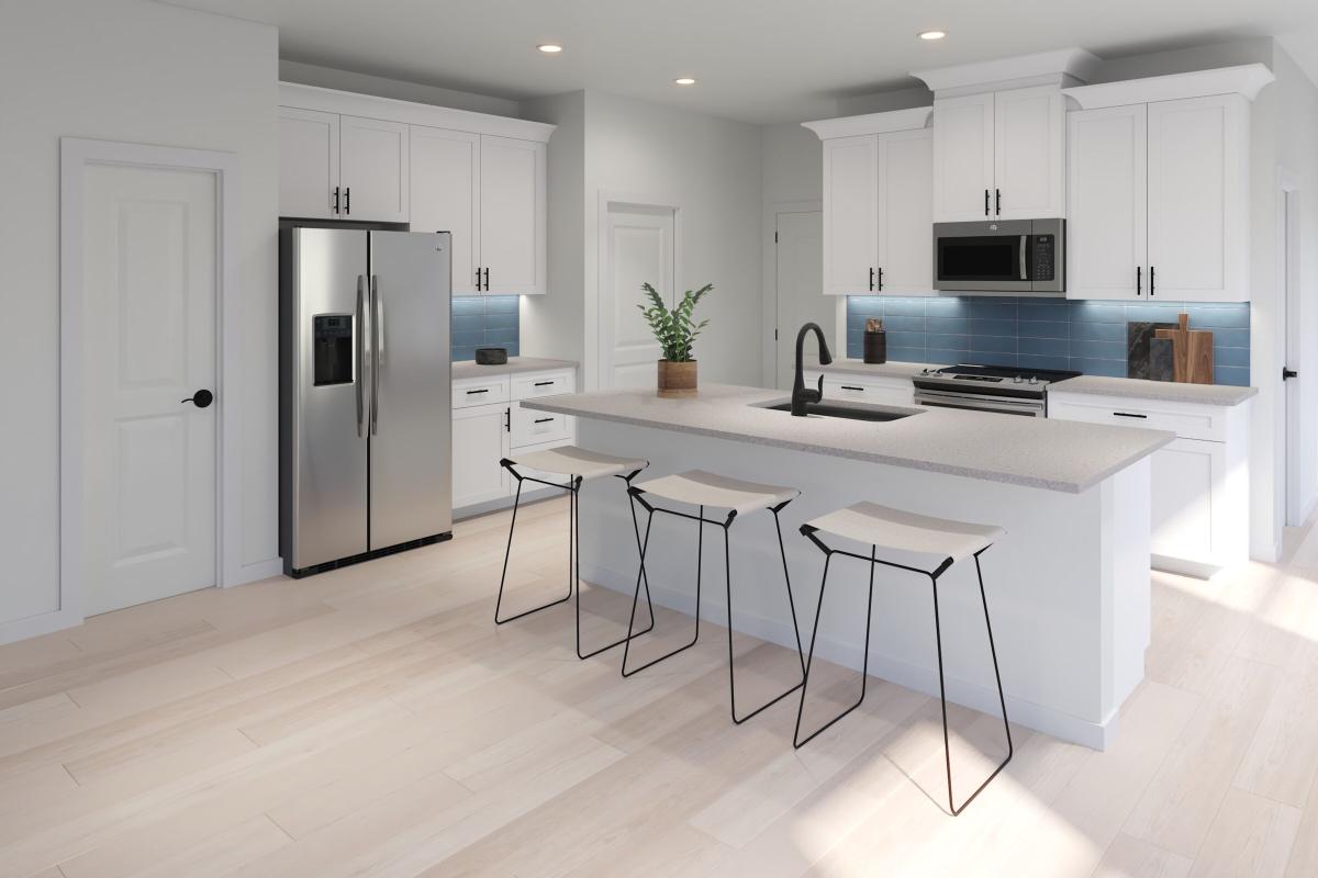 Dogwood Kitchen Rendering - Representational Photo