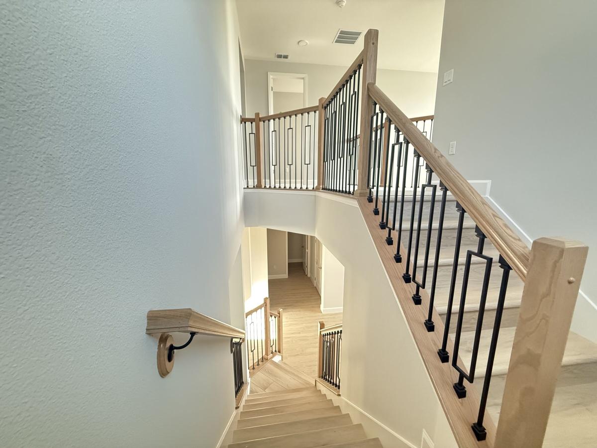 Tradewinds Representational - Representational Photo