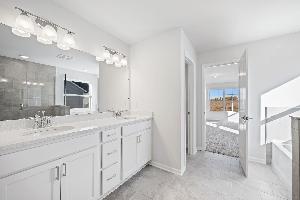 Owner's Bathroom