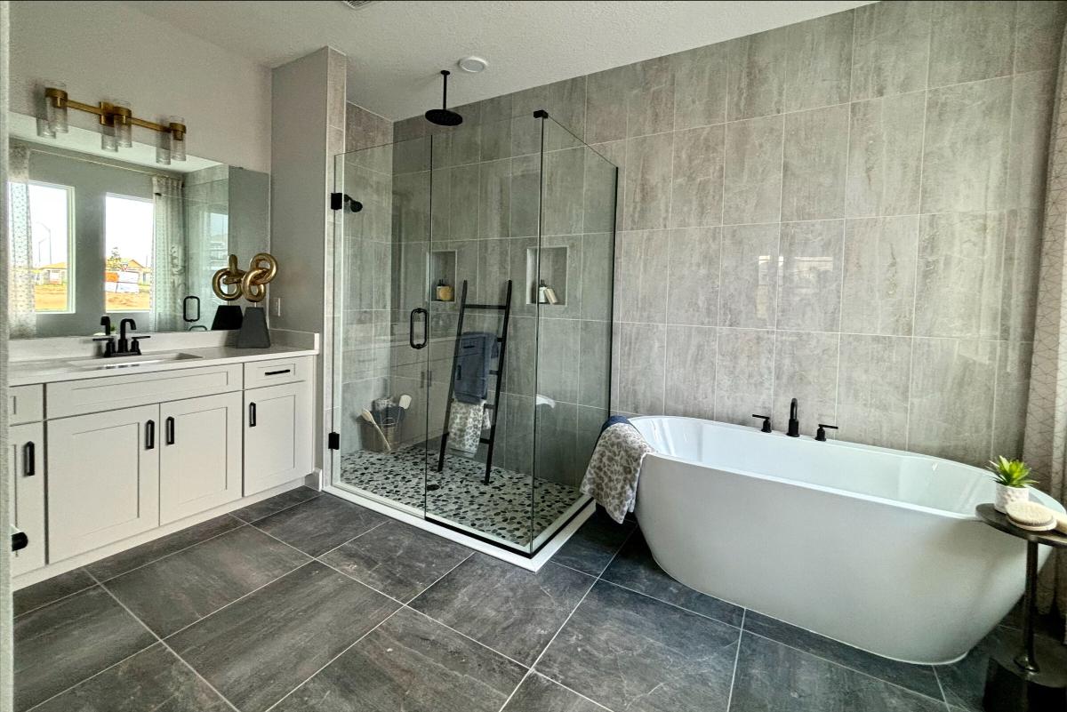Owner's Bathroom - Representational Photo