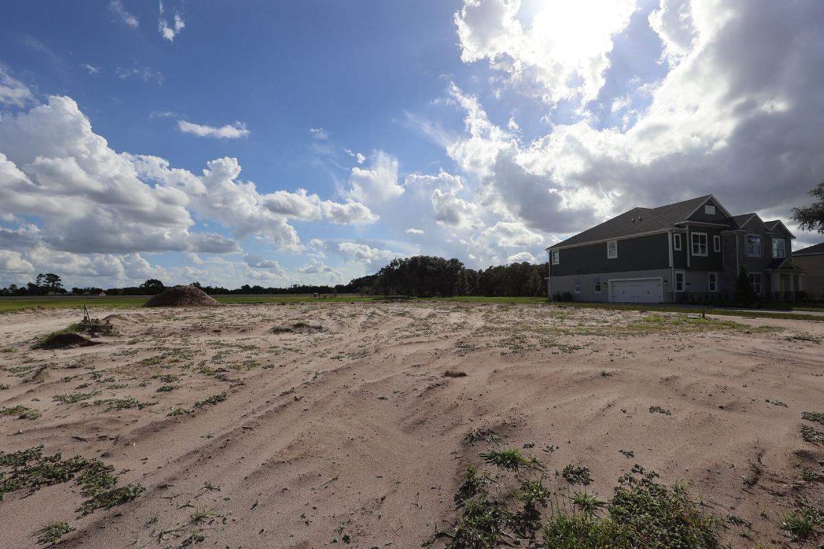 Homesite